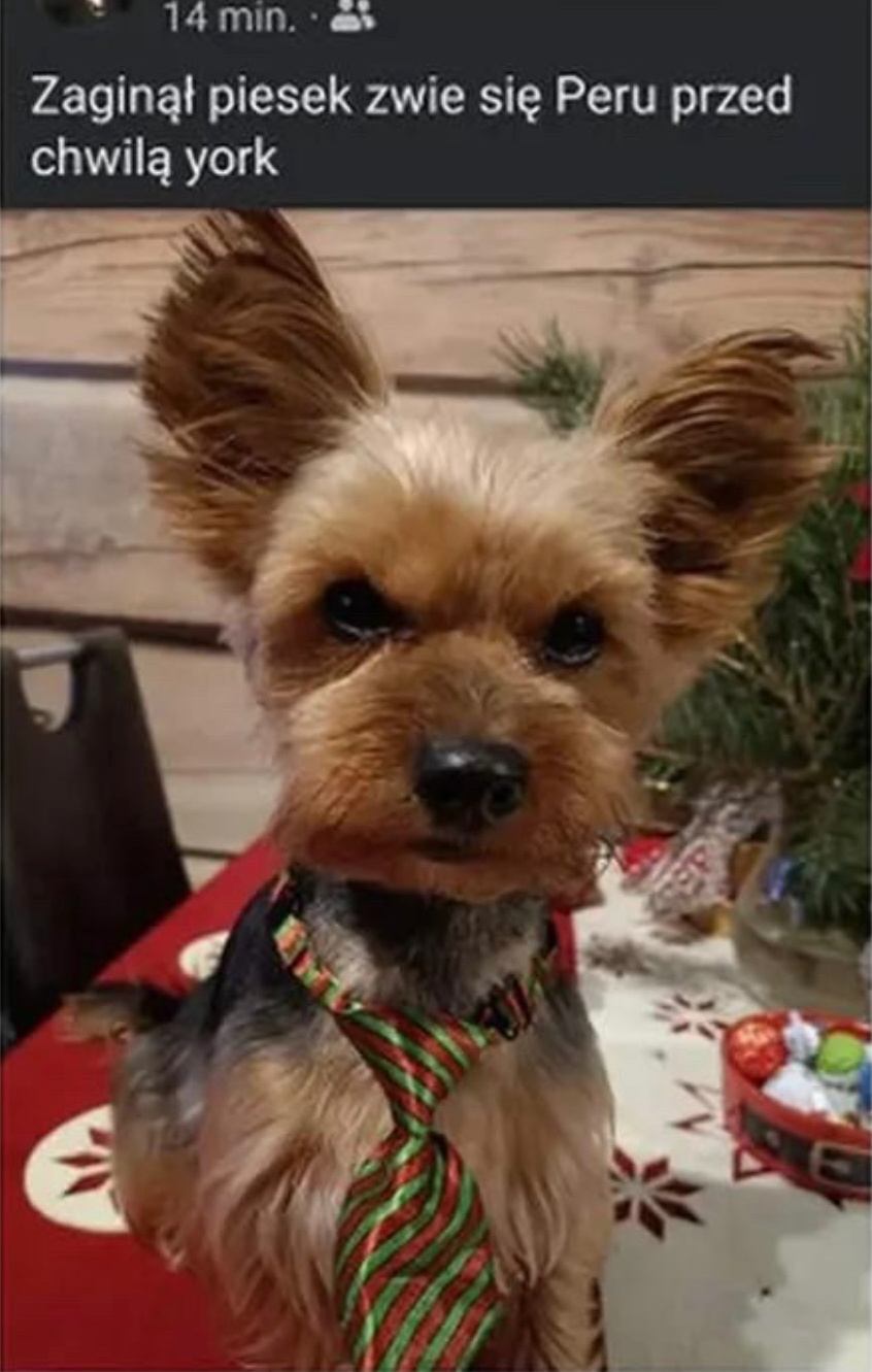 2722b004-af4b-4d30-99f5-2e697f841792