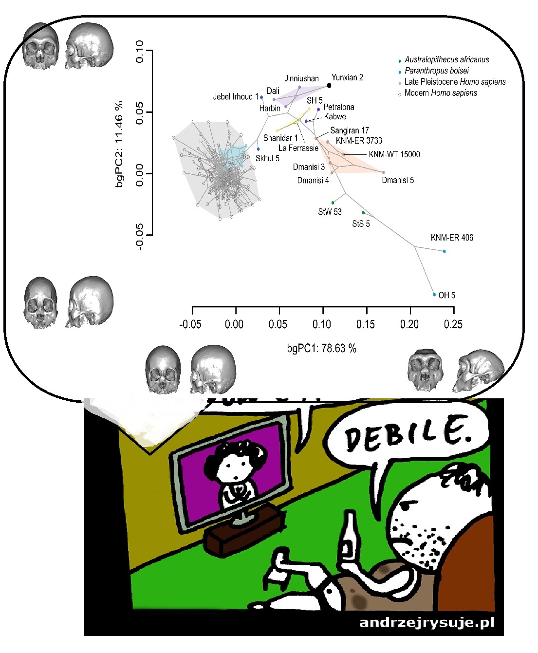 Czy nowo znaleziona czaszka hominida zmienia historię ludzkości?