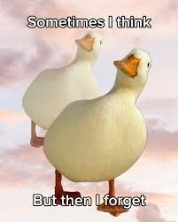 f24d95a7-b7d3-4213-a6ee-3f871699198a