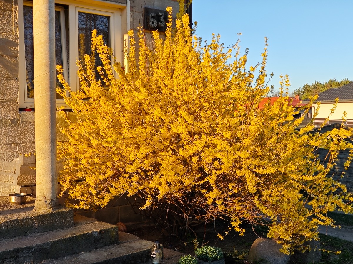 96fbe368-94ba-4930-afcc-f8a70be539d1