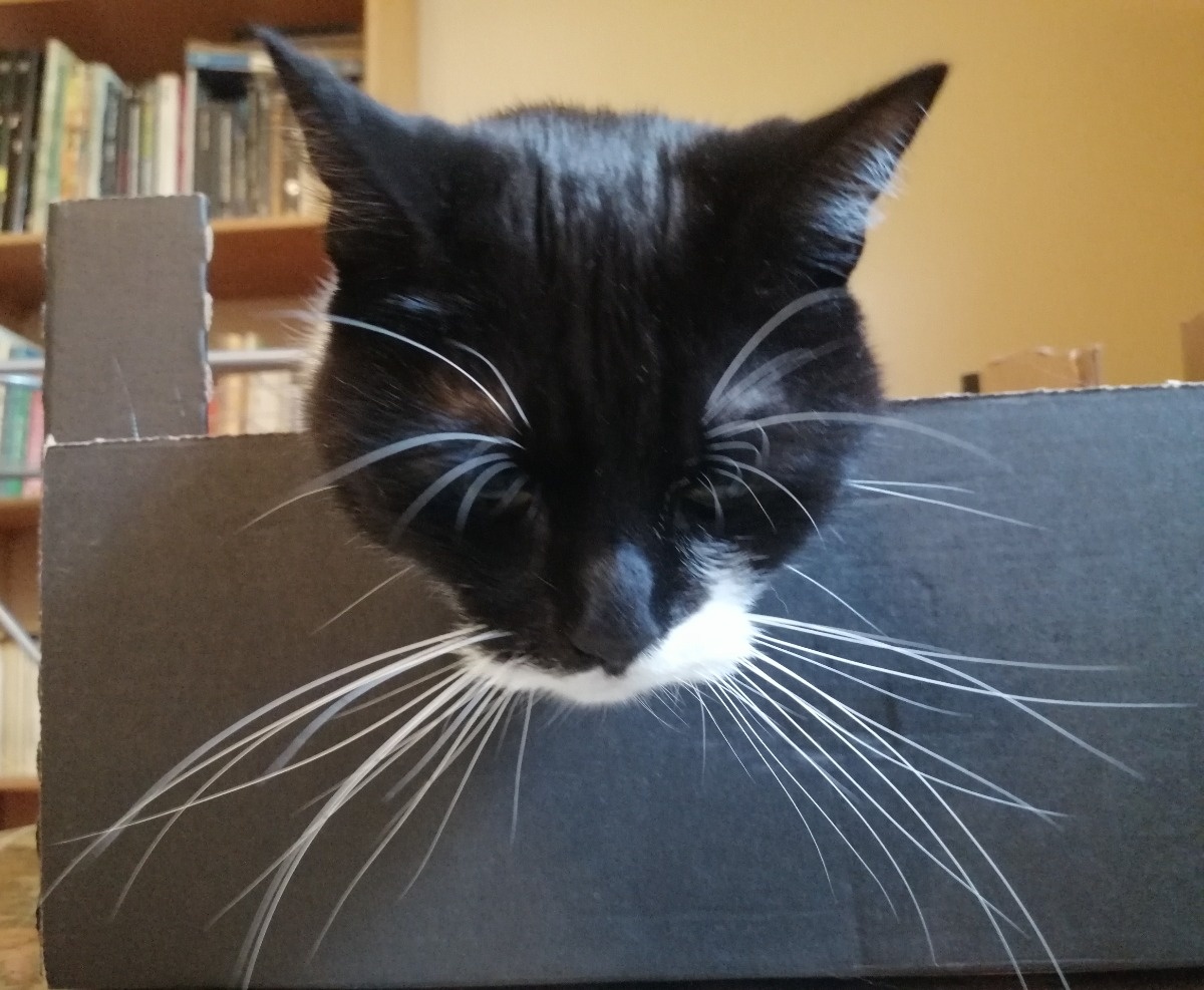 4df8868c-ad0f-4ae3-b520-c65531e27147