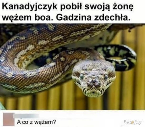 eb62b590-6d7e-463b-bf3d-e85df4809132