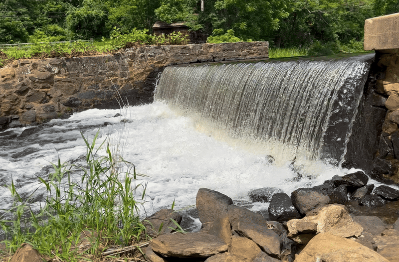 f08ff163-4afe-4a01-b5bf-04a98da5e032