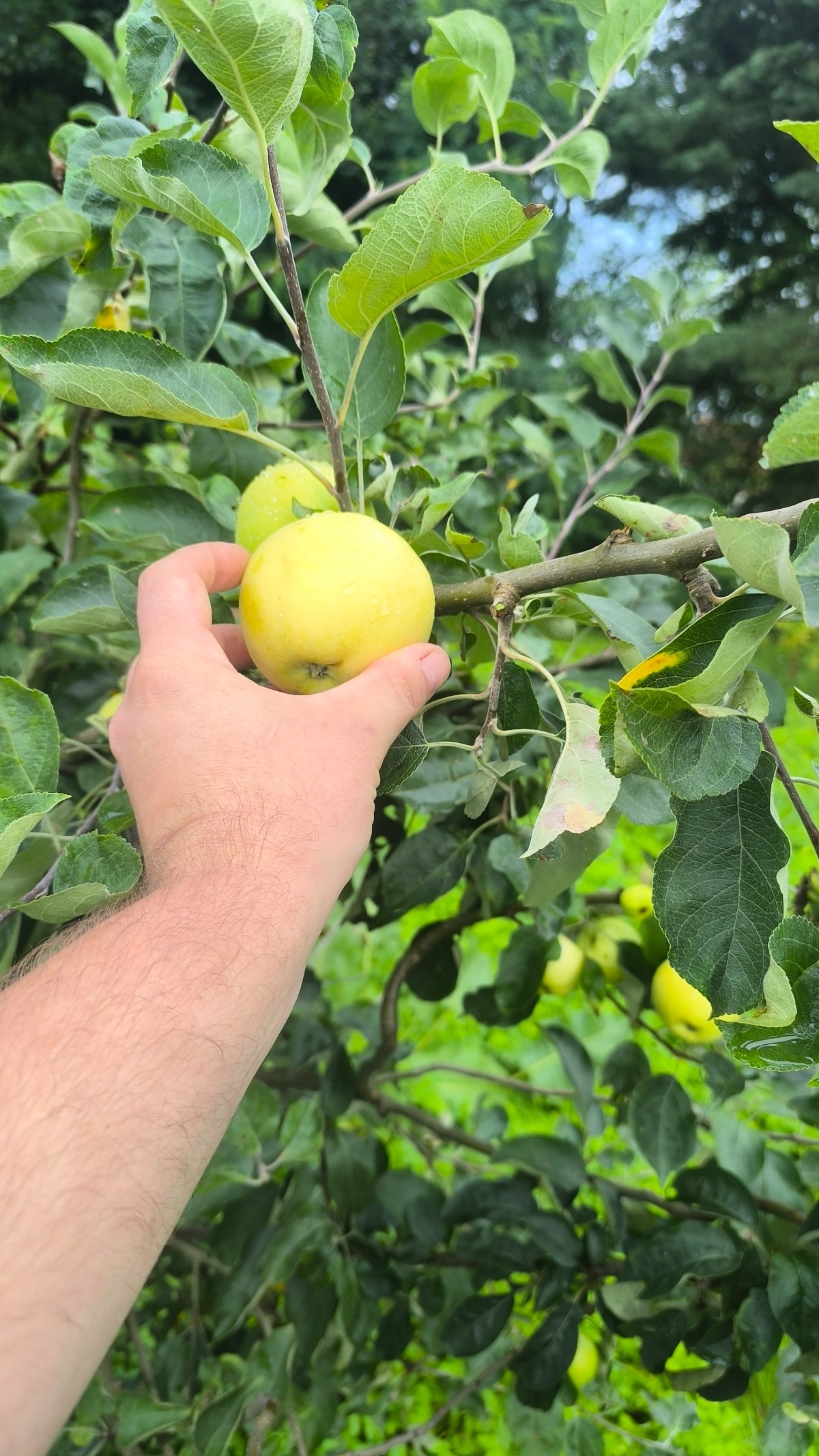 66dcc6ce-015b-45b8-8d83-080a9e5c1e42