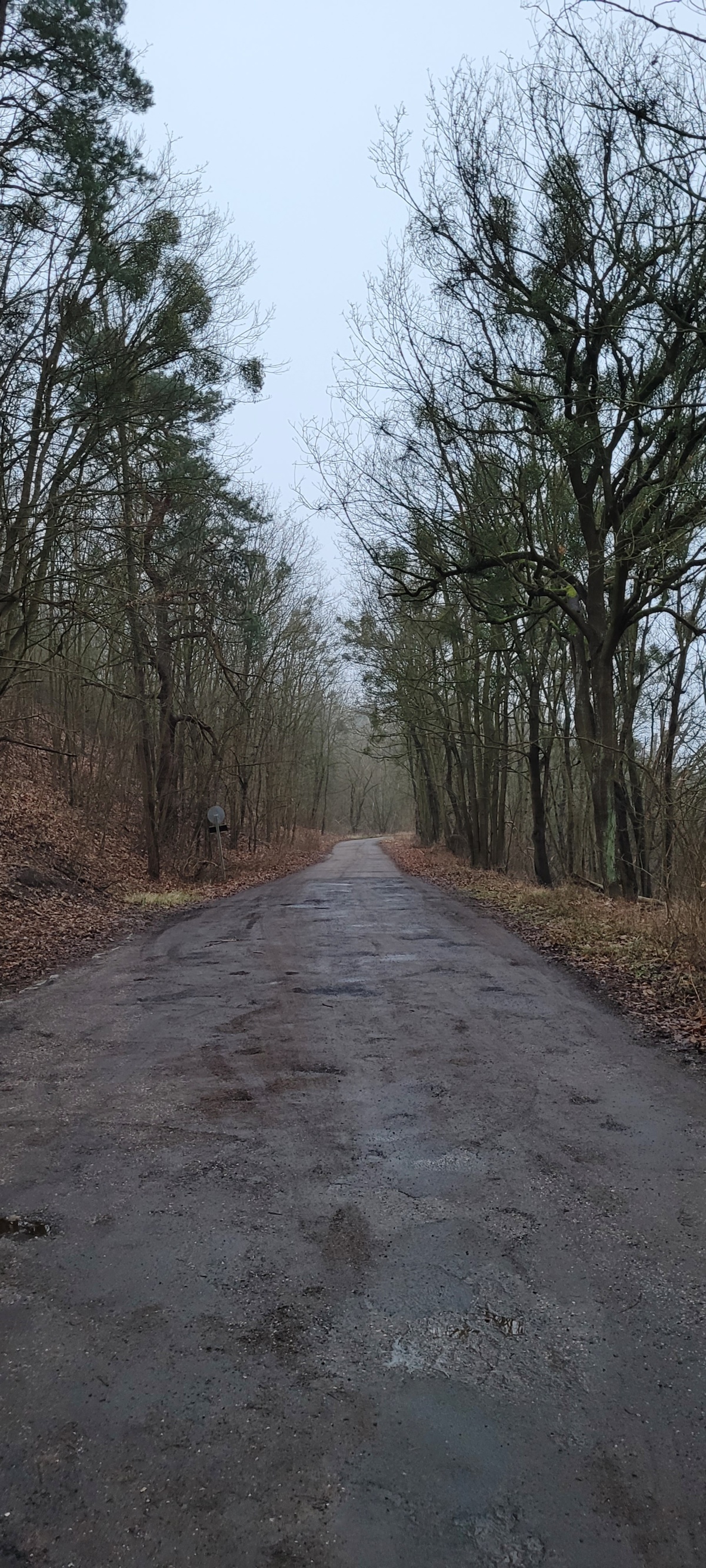 d51e5cc9-75e0-4509-815f-45c5570f2f5c