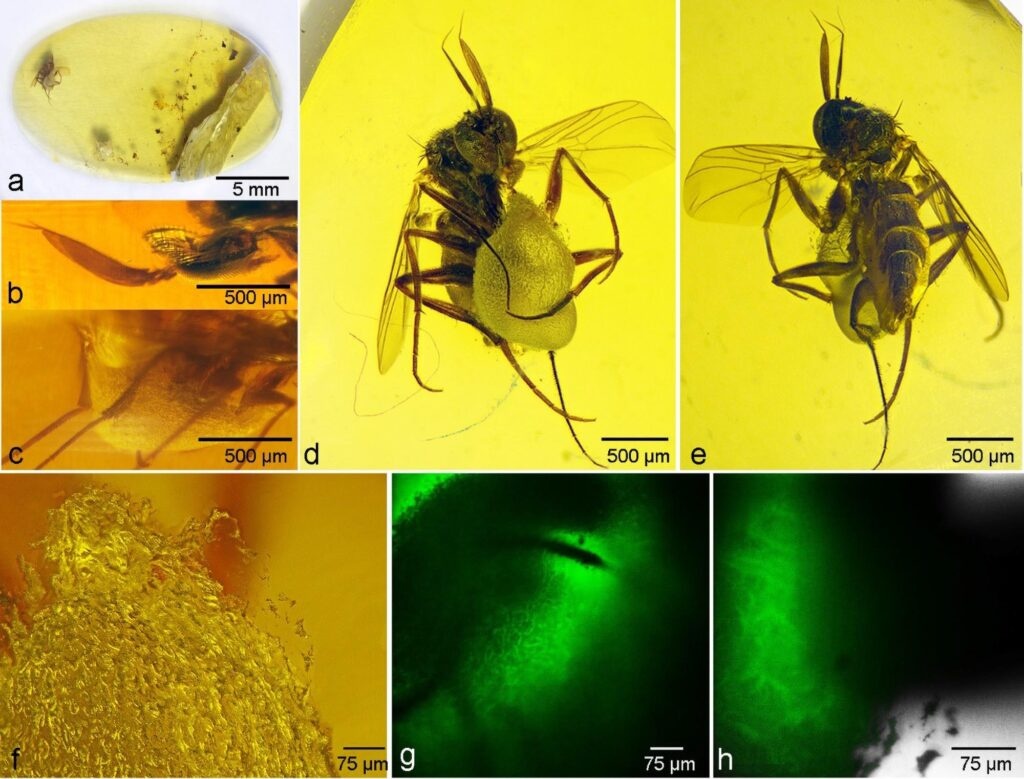 6c3d5304-8208-4037-97df-d5abda340c93