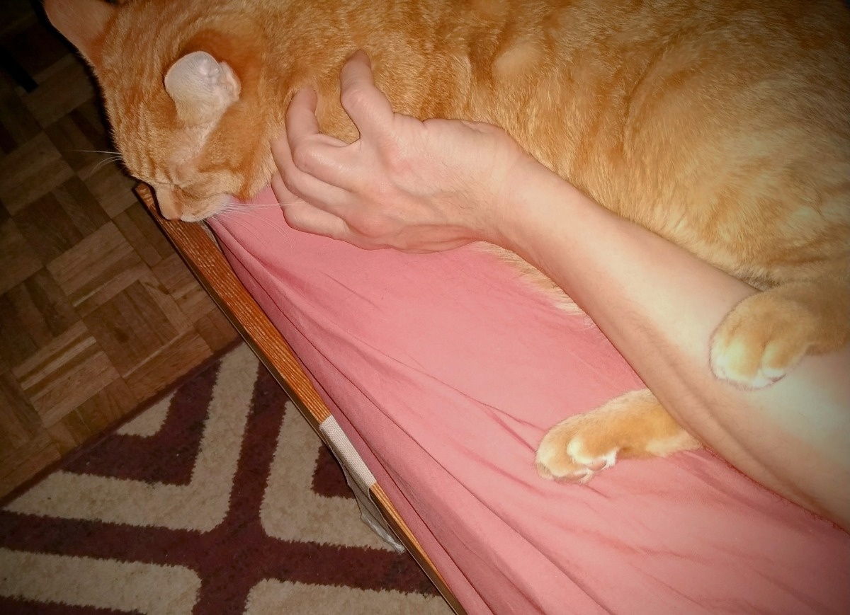 0ca21982-c652-47ad-8a7f-4a1de20435d0