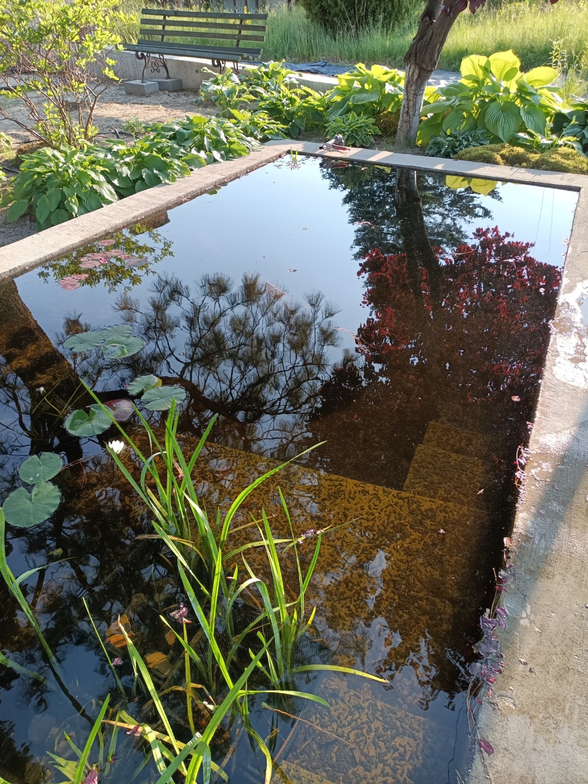 0a7f6a04-1724-43b2-9e16-606e7d37788d