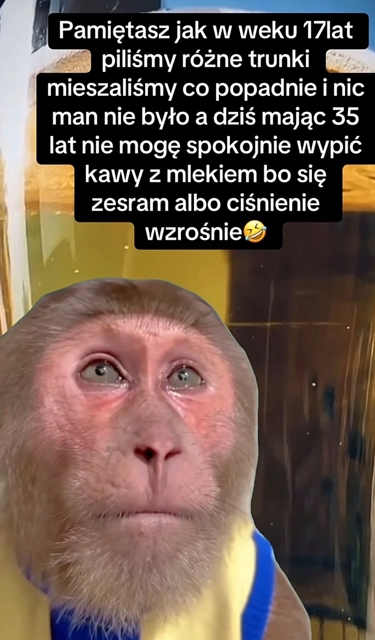 526ddf17-a115-48b4-bca8-a41a20724087