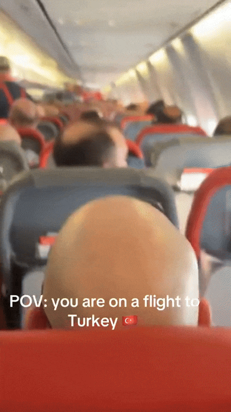 d4ff4135-8bda-4180-8a0a-1e4e9baf0e05