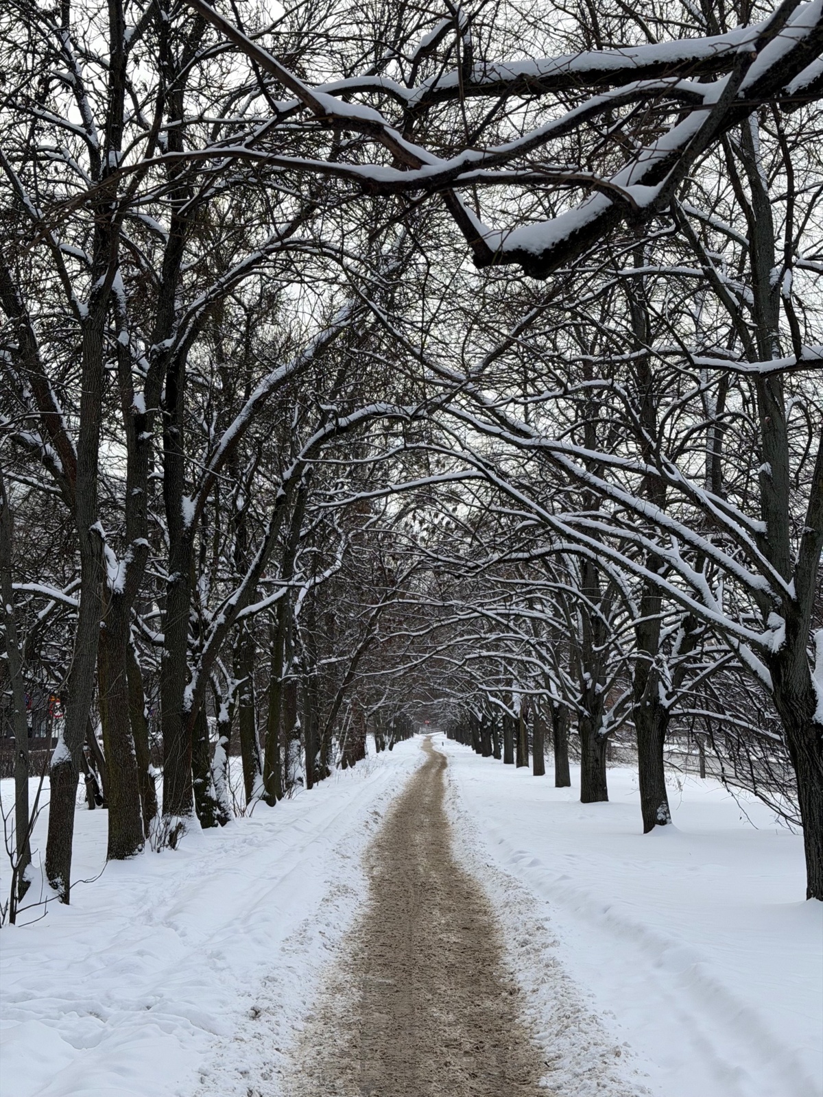 6e6597e3-e1af-4251-b8f7-8643215e3df6