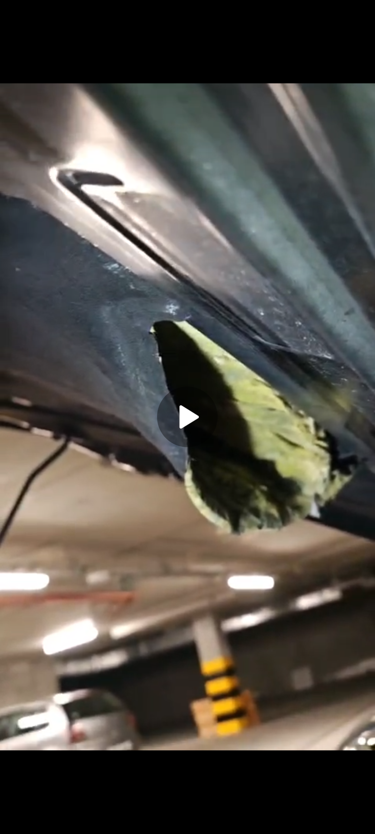 a7273d75-1d97-437f-a3a5-2ed3aa285284