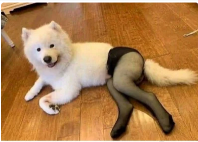 15077e28-5c88-4981-af85-5707f2e11844