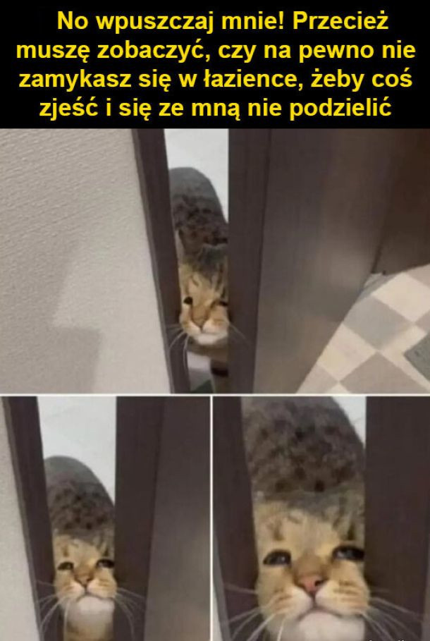 0d17e307-f689-4b64-9126-c39e3f5df028