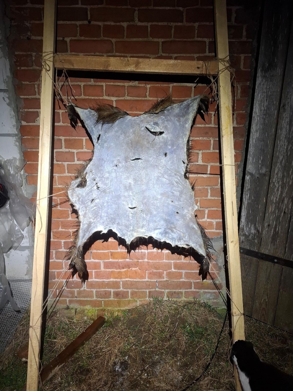 738e9672-57af-4ca3-8307-7d7e3eea4f49