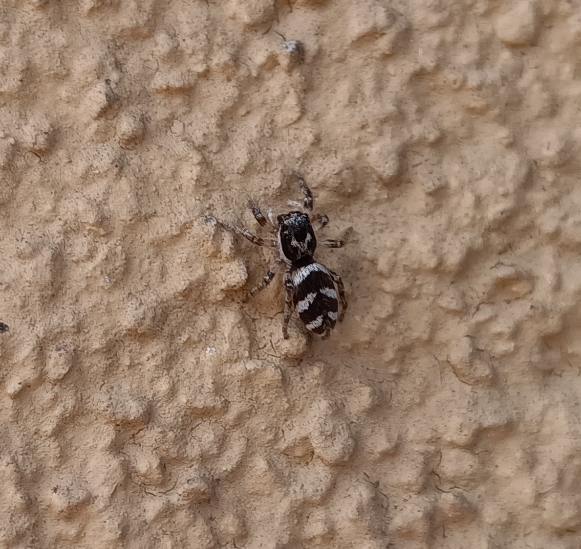 2a715a86-0466-498f-a86a-3945496f8598