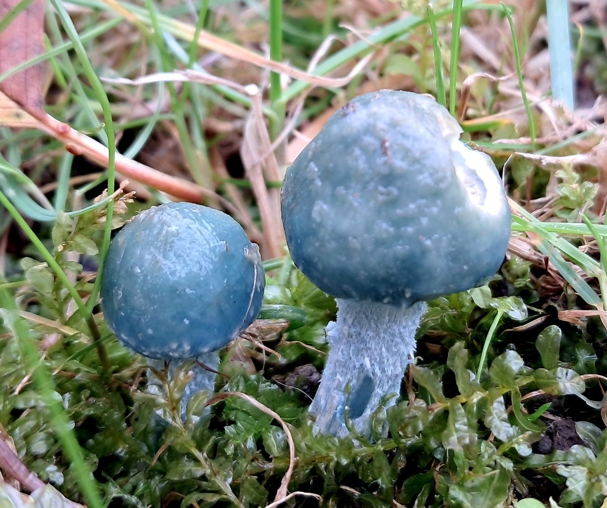 d30bde47-97df-4f9c-a9e9-6f748f25fc97