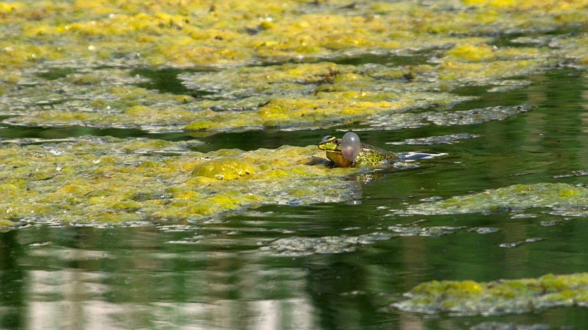 c3e20867-a8db-4696-b6de-1aa295cfb667