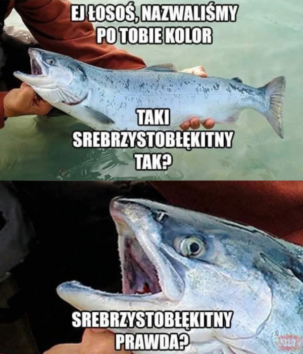 70eaf77c-9486-417d-b962-865ee220089b