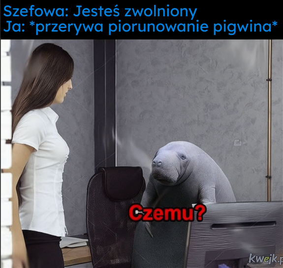 141b49df-7be3-41eb-8ced-6226e730693a