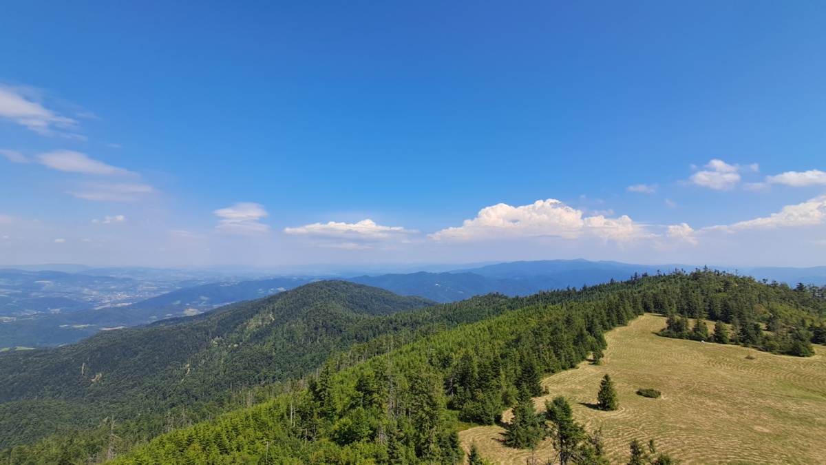 0c9e0465-e399-409f-8118-6ac82c177825