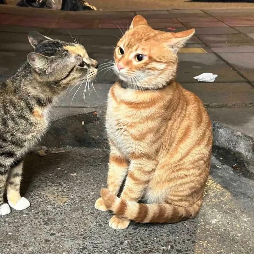 215e35e4-4718-4711-bebd-481d1010a380