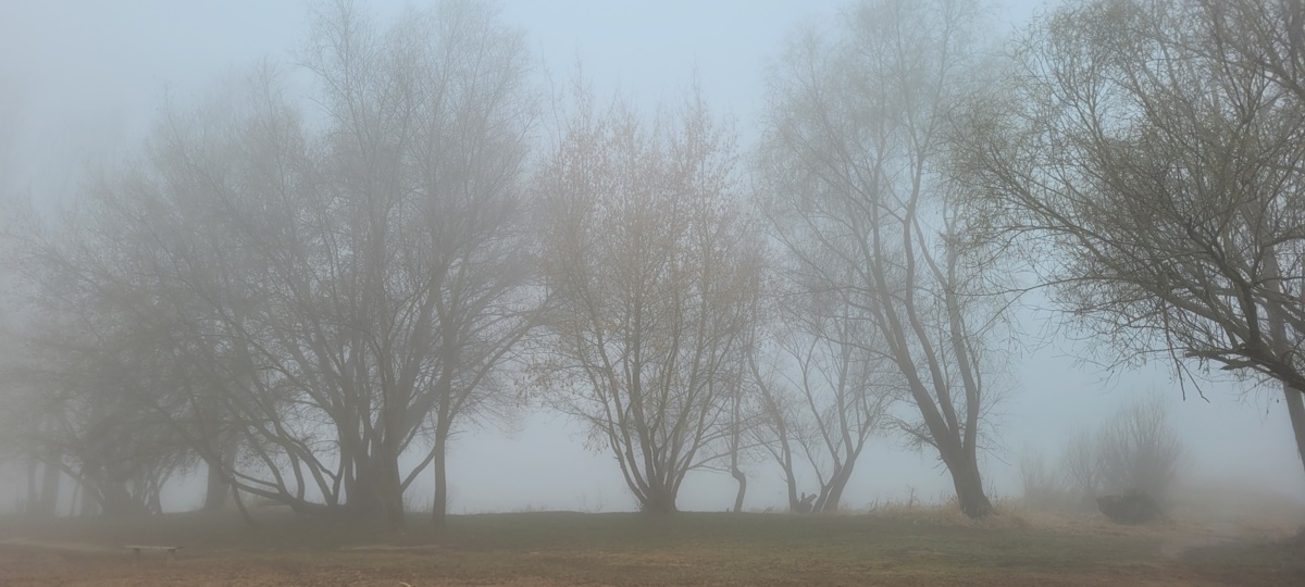 c3b46ea1-eeb9-4c47-bb5e-2642c3feed79