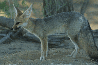 aace5cfc-b6d4-4345-95d4-30ca9de801ce