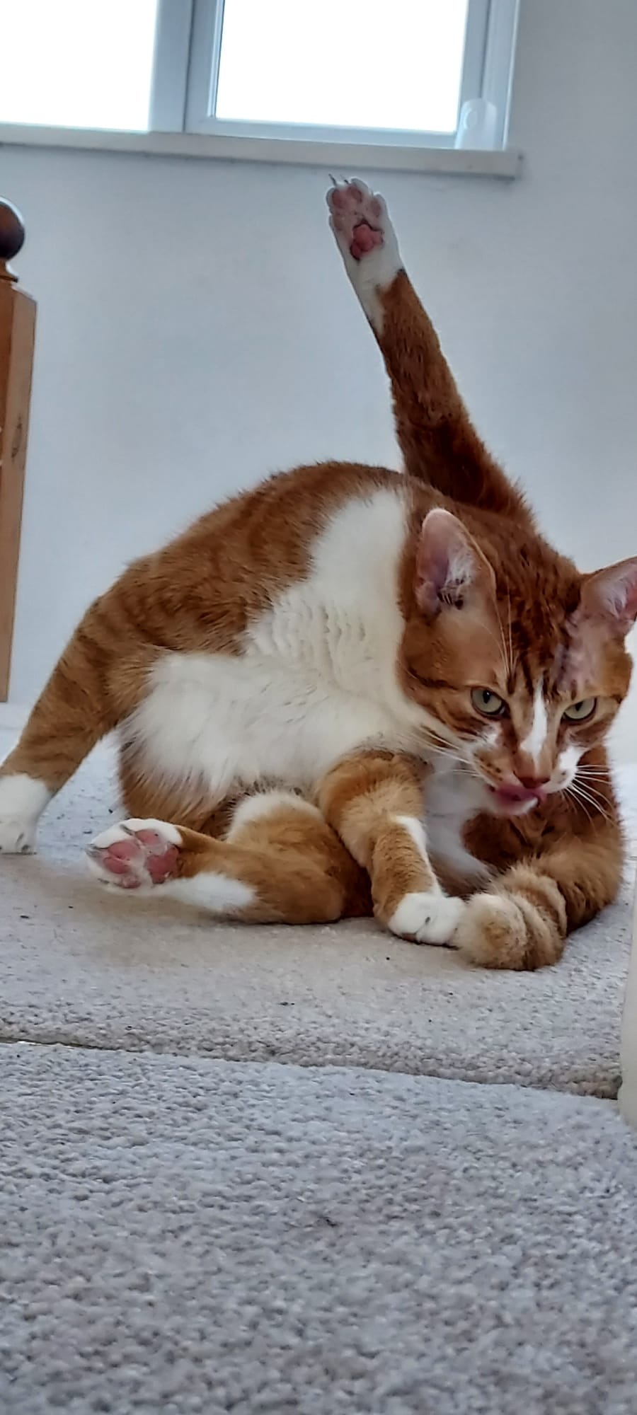 d35b62ad-5d6a-44a4-b779-ea808d3f0e74