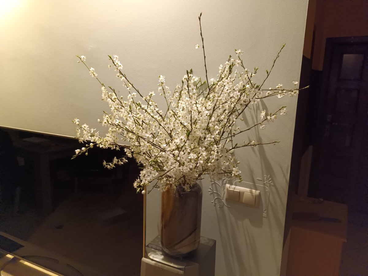 229bf13a-fe82-4846-8ee0-72826fd20333