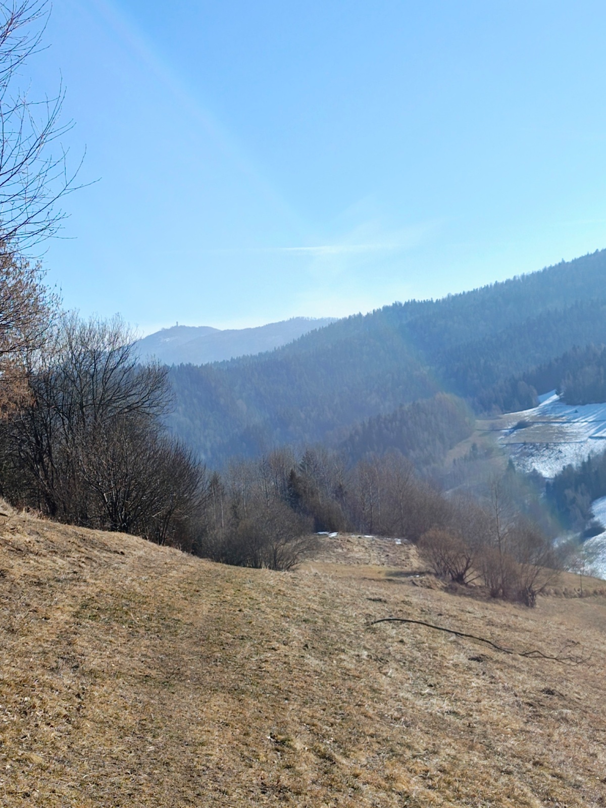 c759b23c-d5f7-4f5b-8ea0-bccf92efbb59