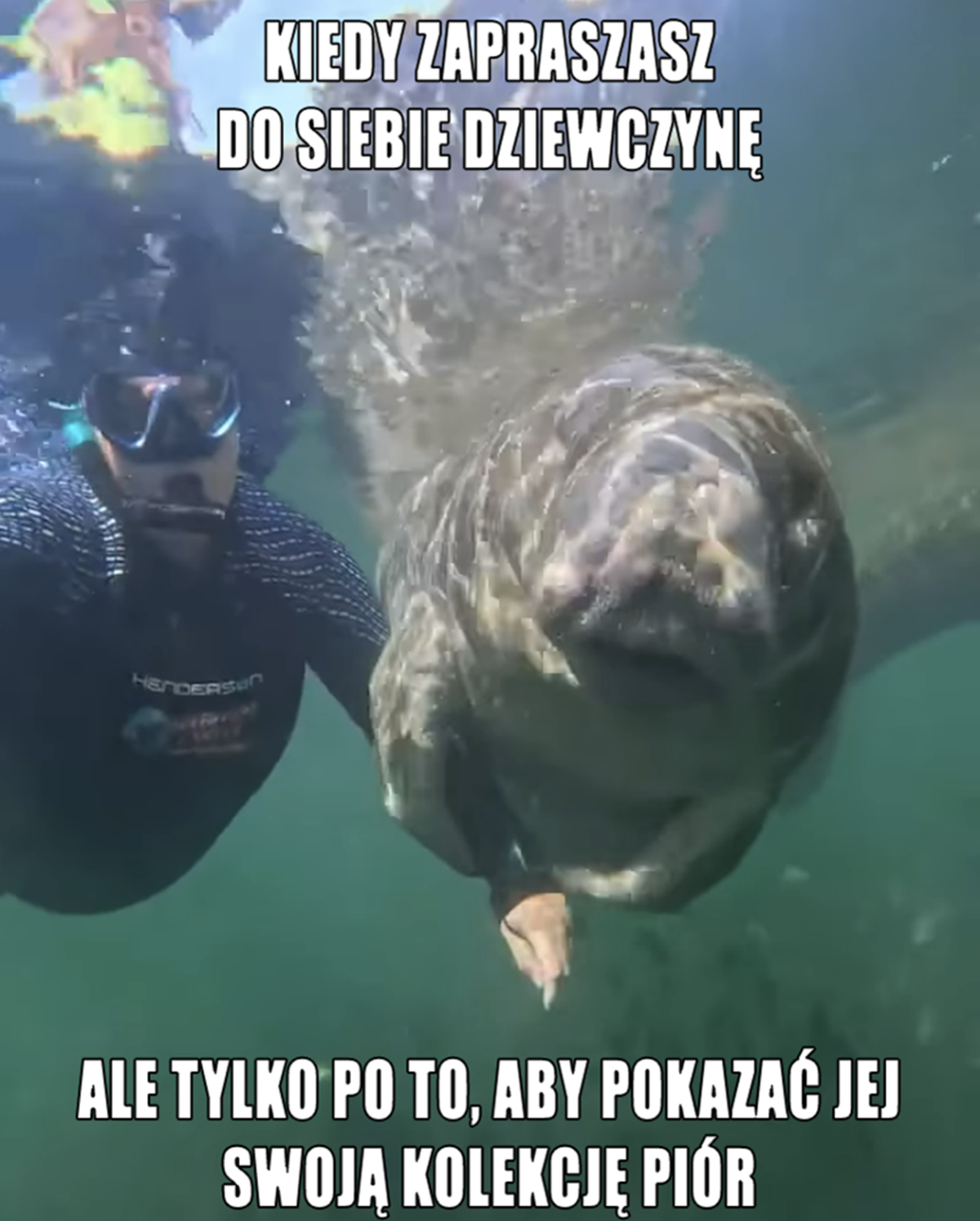 585310d5-0756-4ab2-91f2-bf967cd65210