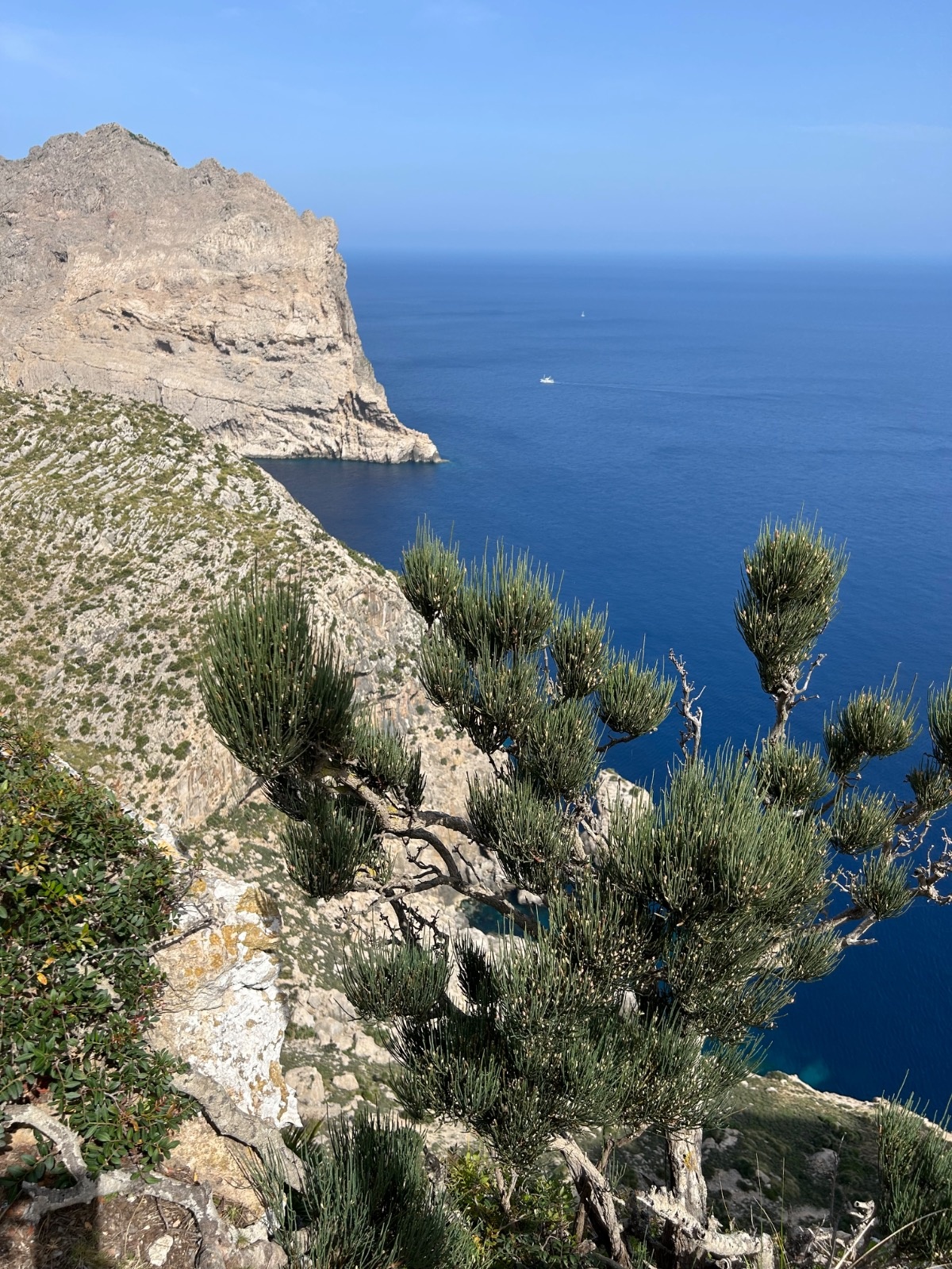 0b8f29fd-d809-4567-ad74-282330e7b036