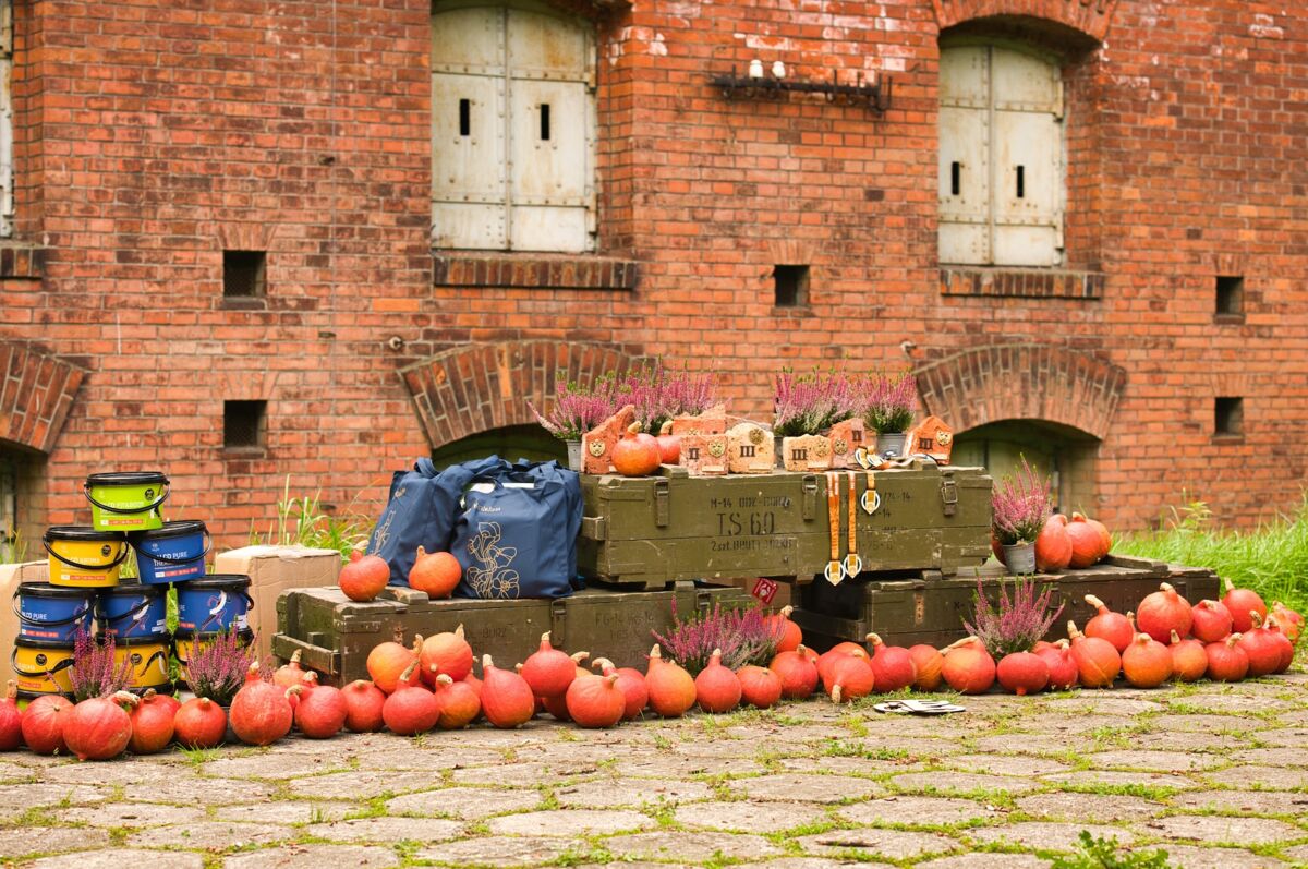 b2952ade-db19-46e0-b754-5b91610ace70