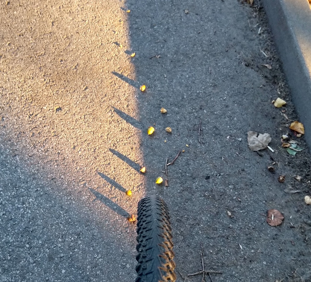 bb3b18d1-29c1-44aa-9e28-293bc111fd3d