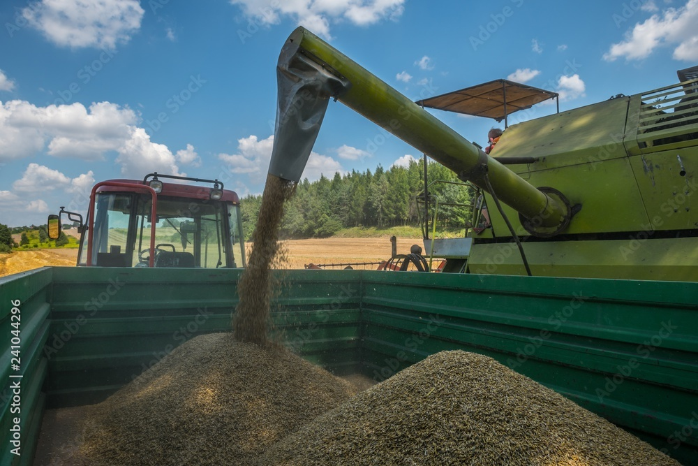 cc1c7bb1-1fa2-49b4-b434-eea61f384786