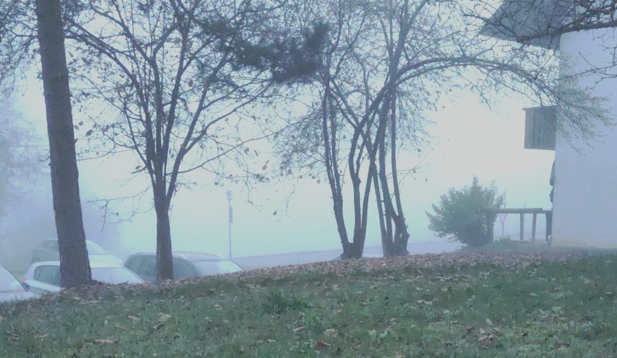 a3c890b3-eb09-48da-963f-481f01f4388b