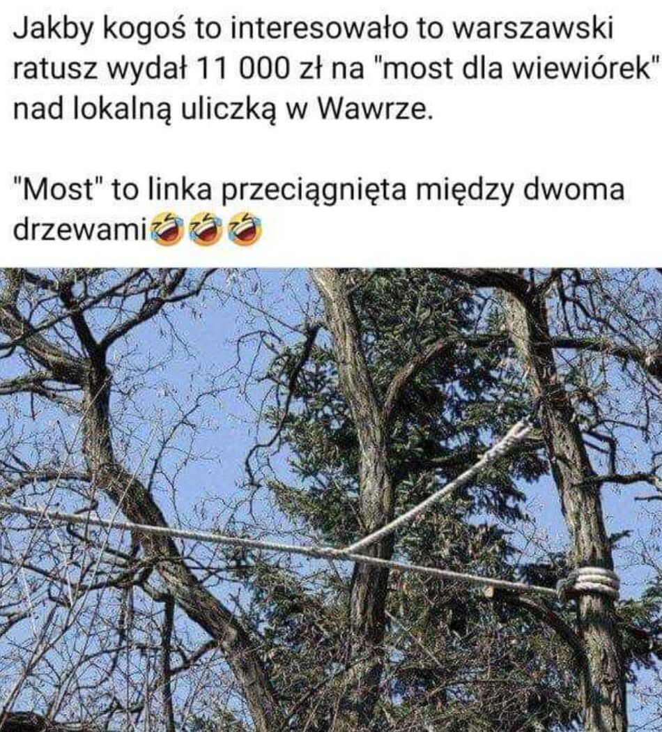 b7ebb45b-f93f-4d48-8fa7-9233273de077