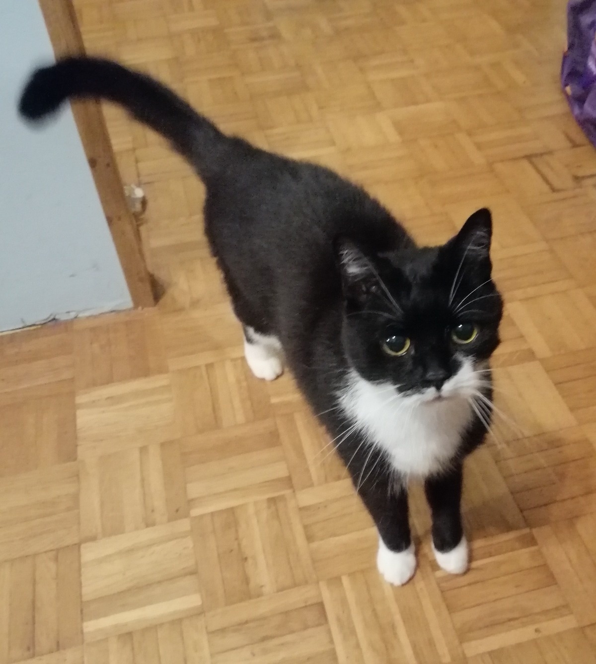 aed825d3-b4ef-450d-991a-54f7743a70be