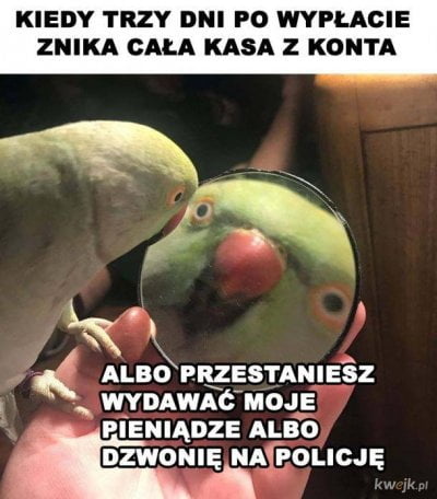 e72b4b02-dbb9-4c12-ab61-bace0f8ec0ba