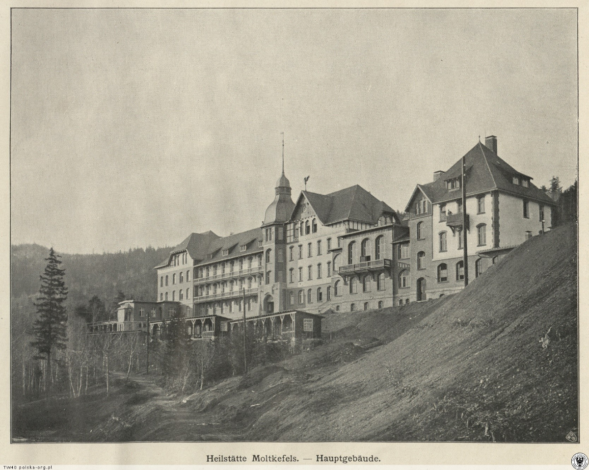 99ac3be9-b242-4081-807a-e9e4fc6b87f8