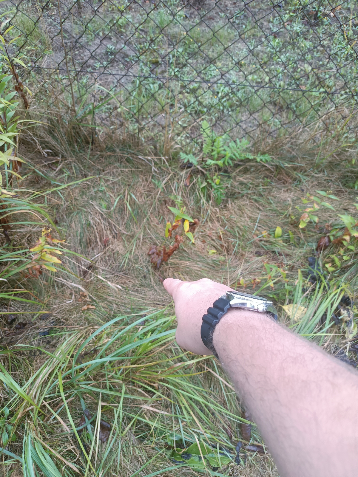 d9eff1ce-ce82-4f91-b6bf-c2ea809099a3