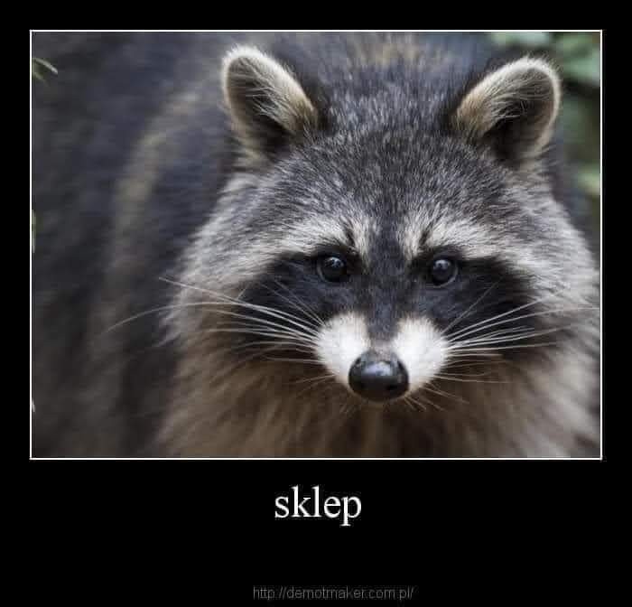 8fde3369-8cd3-40e0-b0ad-3e508e36ce0b