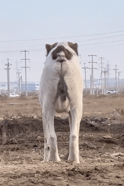 3deb350b-3bf3-4062-9881-9fe8096e6488