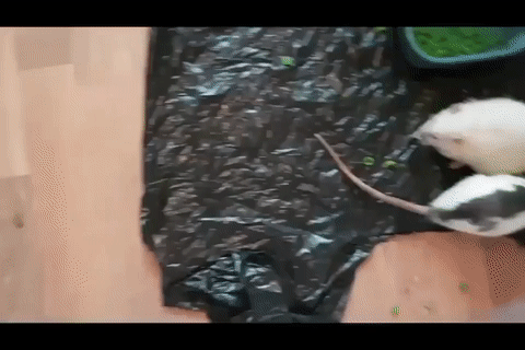 0d37f935-e4ea-465f-b3dd-dc8e9cff5680