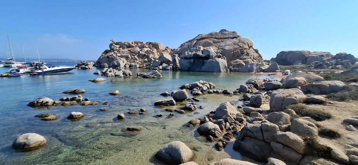 c184012e-7734-49a6-a0a3-705b90c98722