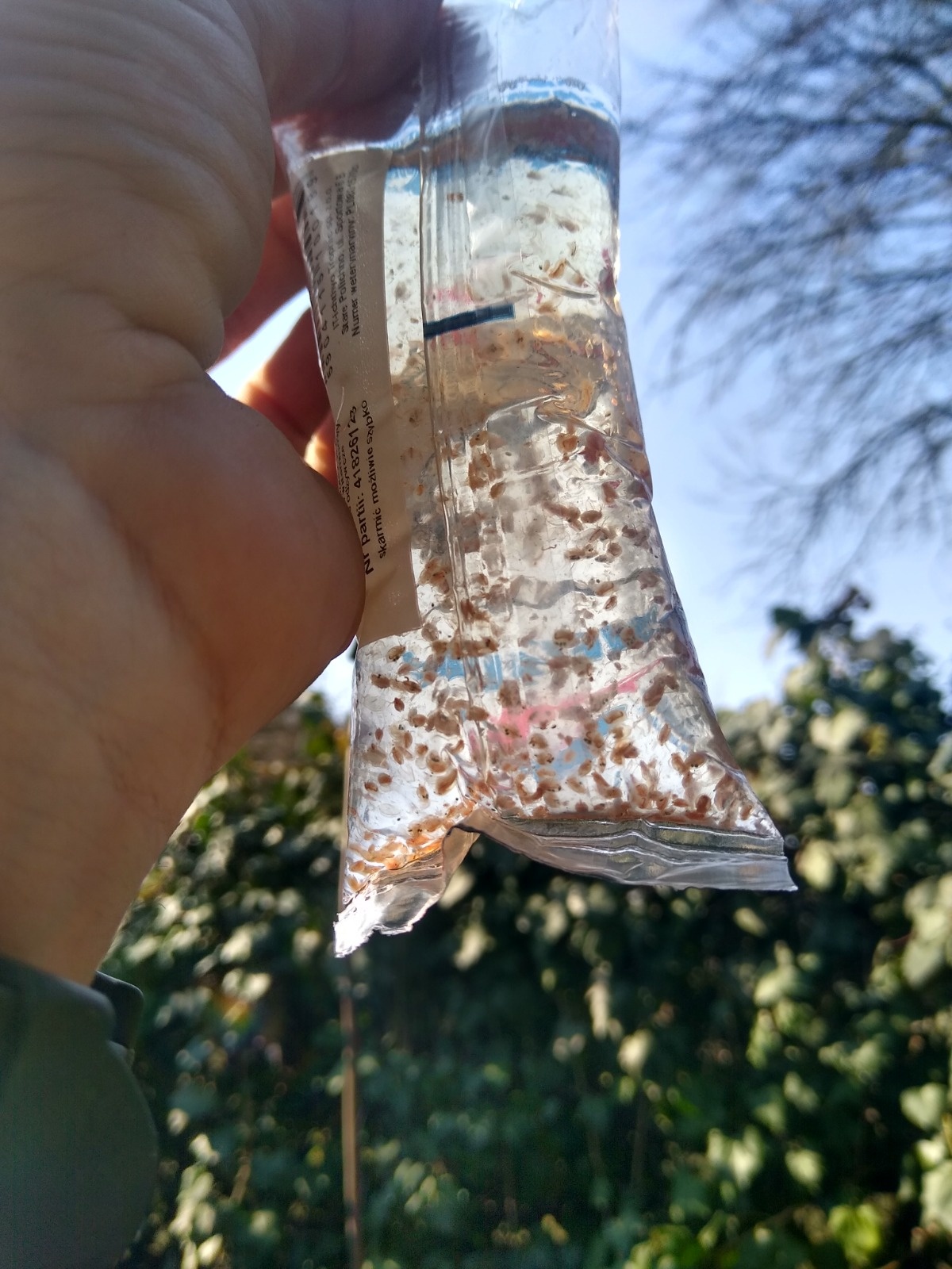 9cb96e37-0bf2-4efd-9f1d-a52aa4b8c137