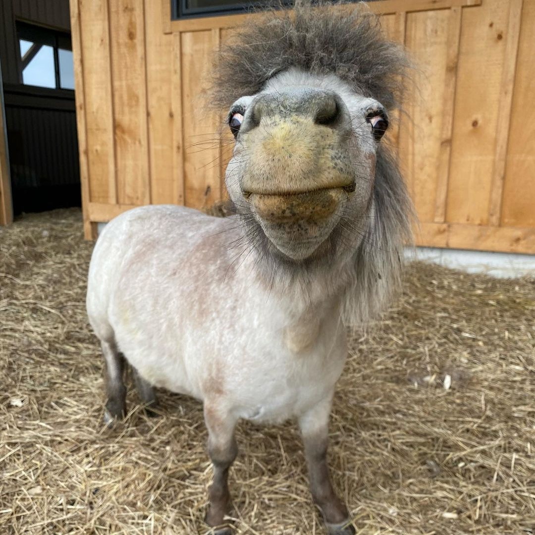 986805d3-573a-4aac-80a2-fa70625a5a57