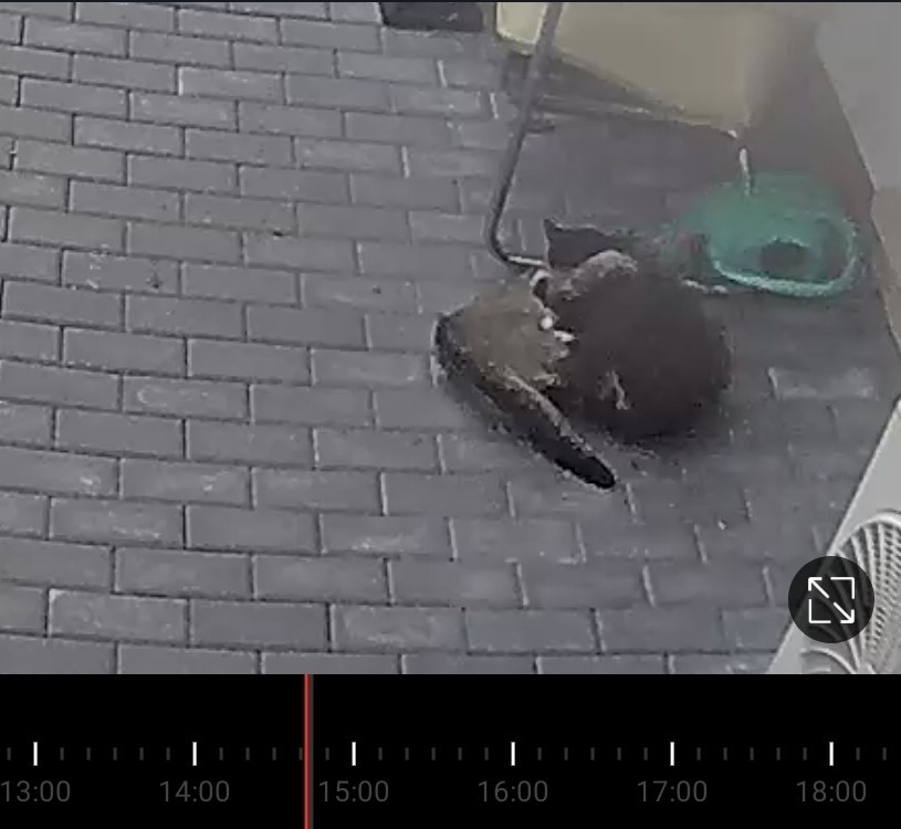 d6c852e4-1bde-4416-aea4-2208995f262d