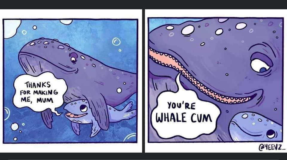 53fc20da-18b2-41bc-9d1a-dd16b6f952f1